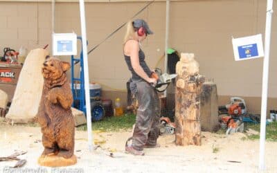Mountain Arts Festival celebrates 10th year