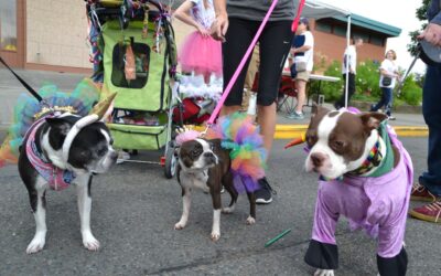 Mutts to strut their stuff