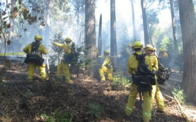 Illegal campfires threaten Crestline community