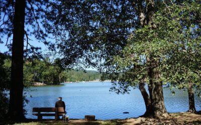 Lake Gregory algae caution lifted