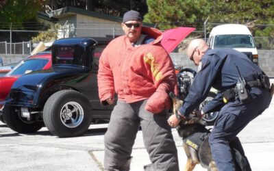 Crowd expected at CHP   open house and car show