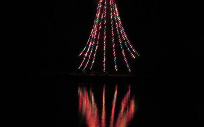 Rain dampens tree lighting ceremony