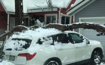 Thanksgiving storms wreak havoc on mountain