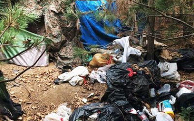 Feds plan program to relocate homeless