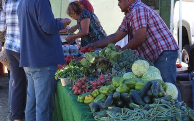 Farmers market opens this Saturday