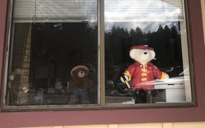 On the hunt for bears