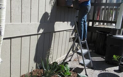 Crestline Chamber gets garden makeover