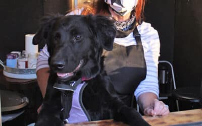 A paw-sitively delicious shoppe opens in GVL