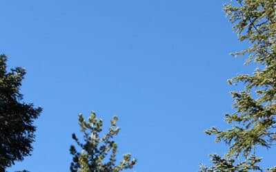 Air traffic above Lake Arrowhead returns