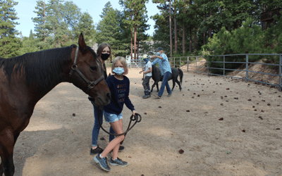 Welcoming youth to the calming world of horses