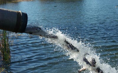 Lake Gregorygets stockedwith trout