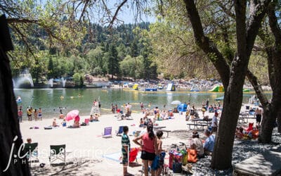 New Lake Gregory operator named