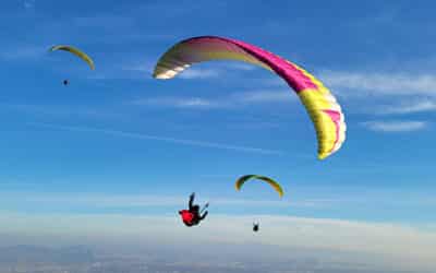 Sunday night flights sailing high again
