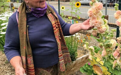 Green Valley Lake celebrates Woodstock – 52 years later