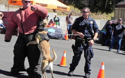CHP to hold open house in Running Springs