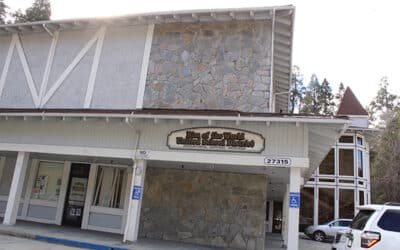 SkyPark to purchase district office building