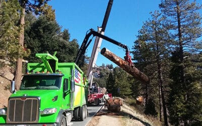 Bye-bye, Lake Gregory’s logs