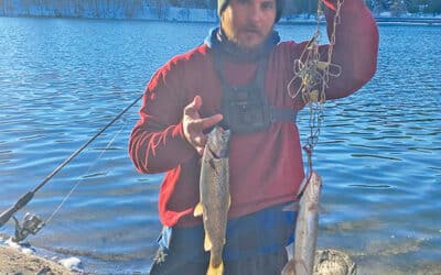Here come the trout