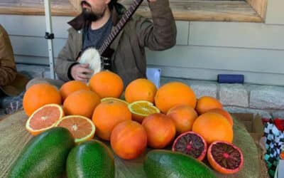 Twin Peaks farmers market opening this Thursday