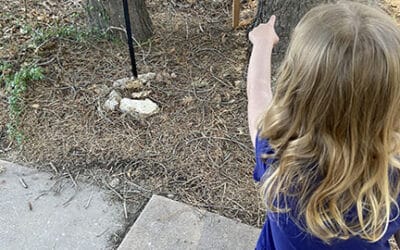 Scavenger hunt draws crowd to arboretum