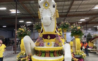 Rotary float