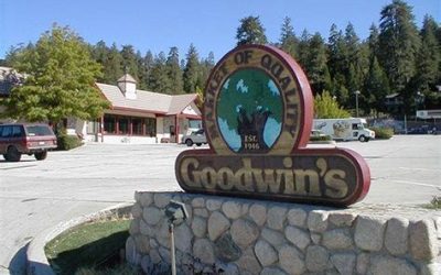 An ode to Goodwin’s