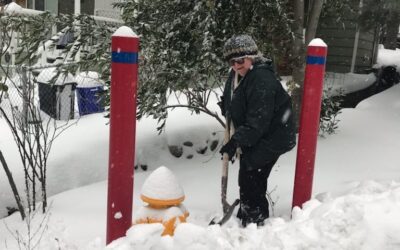 Lions ‘Adopt a Hydrant’ for community safety