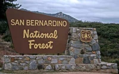 National Forest closed for public safety