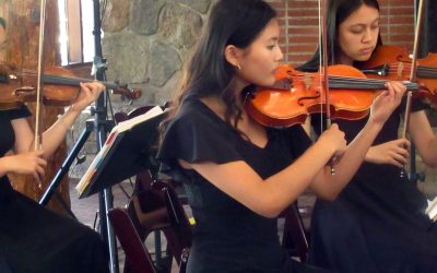 Mountain Top Strings delivers stunning performance – Neva Hidajat’s ‘Swan Song’