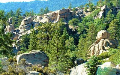 LET’S GO HIKING Exploration Trail (Part 2)