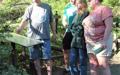 LET’S GO HIKING: Sequoia Trail