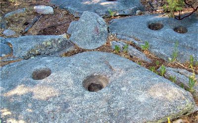 LET’S GO HIKING  Metate Trail