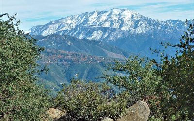 LET’S GO HIKING – Ponderosa Trail