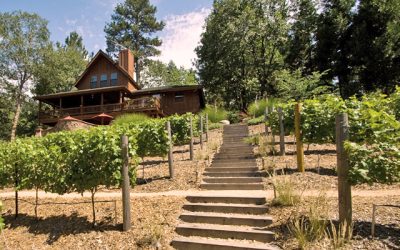Sycamore Ranch Winery hosts Crestline Chamber mixer