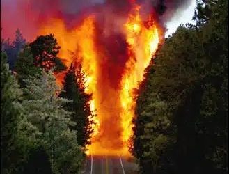 Lessons learned from the 2003 Old Fire
