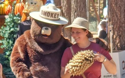 Celebrating the mighty pine cone!