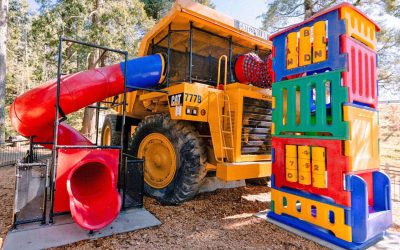 Fall into fun at SkyPark