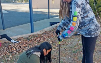 Beautifying their school