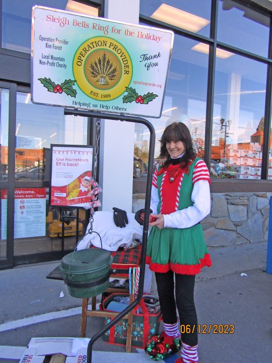 Adrianne, Lisa, Julia, Melissa and Adrianna from Glendora and Orange County enjoyed last year’s Brewfest at Tavern Bay Beach Club so much they couldn’t resist attending this year’s event. (Photos by Douglas W. Motley) Woman dressed as elf beside charity donation stand.