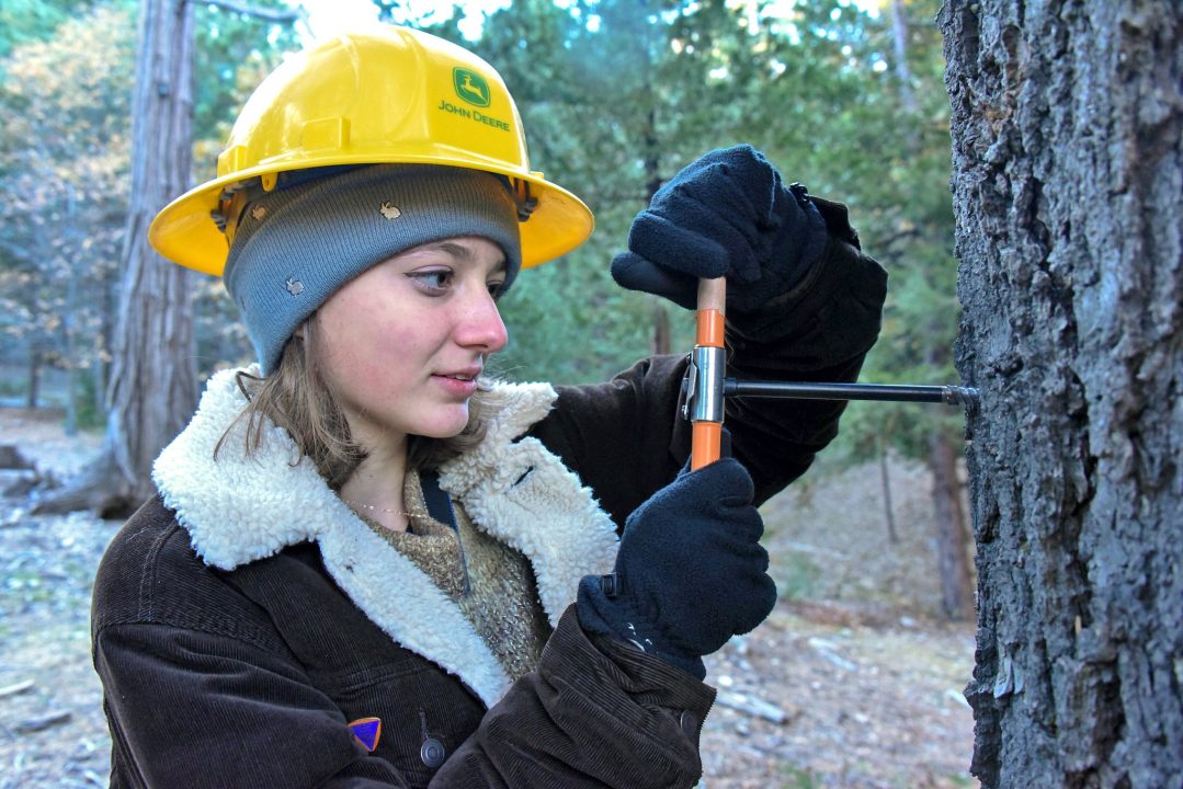 Olivia LaVia of Palisades Charter High School performing one of the exercises during the Forestry Challenge.