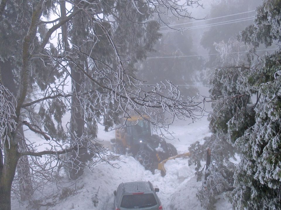 Snow-covered trees and vehicle in winter scene.