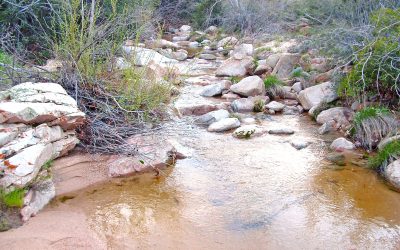 LET’S GO HIKING – Deep Creek Trail