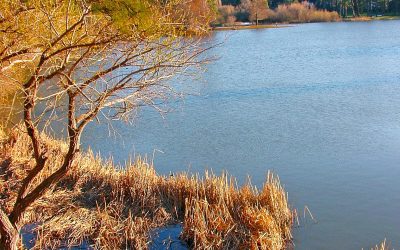 LET’S GO HIKING – Grass Valley Lake