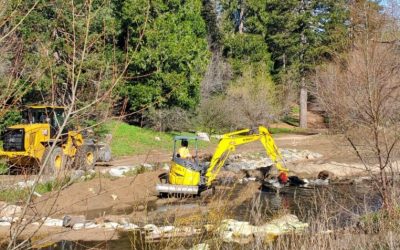 Cleaning up the creek