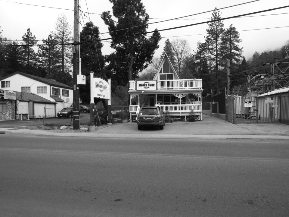 A-frame smoke shop with parked car and trees.