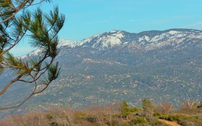 LET’S GO HIKING – Old Sawmill Road