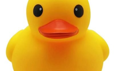Canceled Duck Derby will be live streamed soon