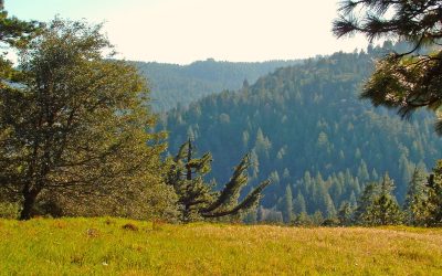 LET’S GO HIKING – V.O.E. Trail/Seely Road