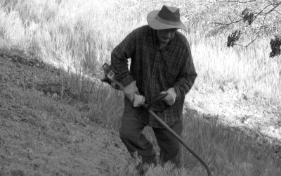 It’s time to whack those weeds