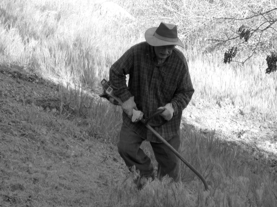 Adrianne, Lisa, Julia, Melissa and Adrianna from Glendora and Orange County enjoyed last year’s Brewfest at Tavern Bay Beach Club so much they couldn’t resist attending this year’s event. (Photos by Douglas W. Motley) Elderly man with scythe cutting grass on hillside.